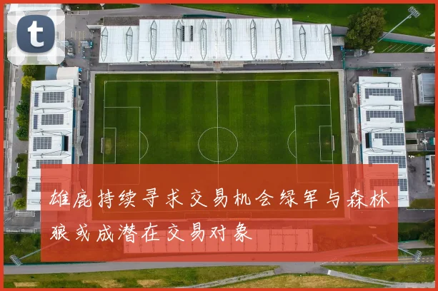 雄鹿持续寻求交易机会绿军与森林狼或成潜在交易对象